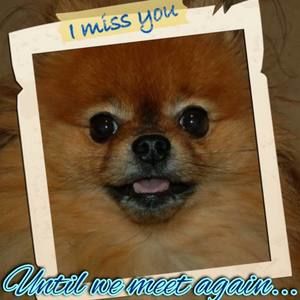 Meet your Posher, Jo